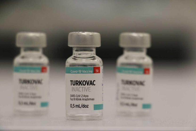 Yerli aşı Turkovac için 5 soru 5 cevap: Yan etkileri neler