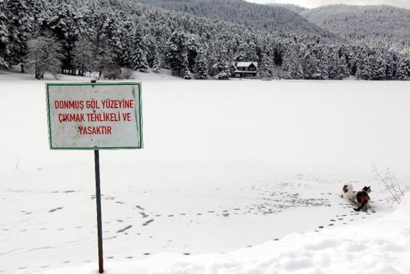 Masal gibi görüntüler: Gölcük Tabiat Parkında göl buz tuttu