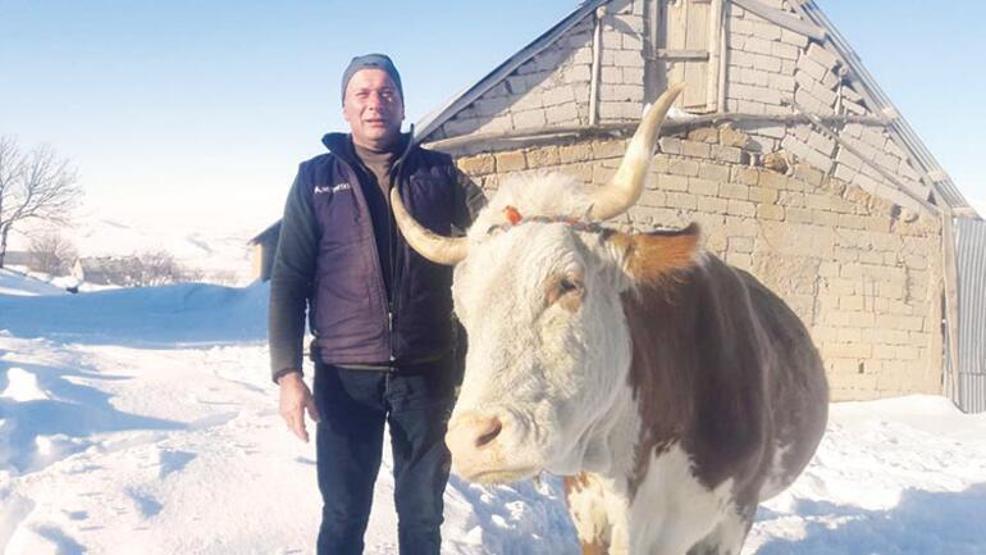 Dokuz çocuklu bir süper baba: İneklerini sattı, kardelenlerini güneşe çıkardı