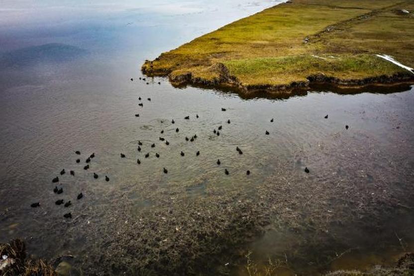 Kaz Gölünde tablo gibi manzara