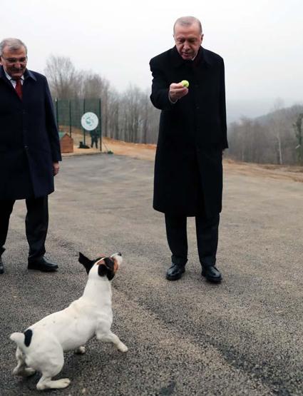 Erdoğanın barınakta ilgilendiği Maylonun hikayesi