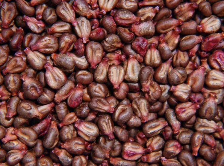 Covid döneminde kullanımı arttı Bitkisel ürün uyarısı