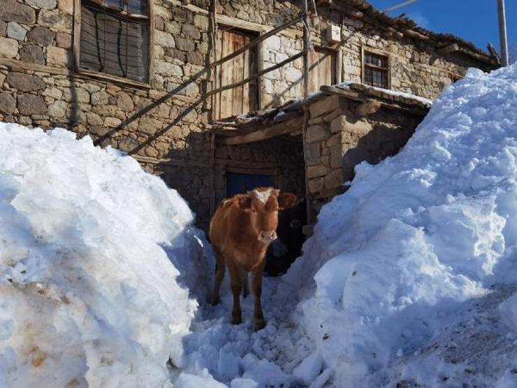 Ovacıkta evler kar altında kaldı