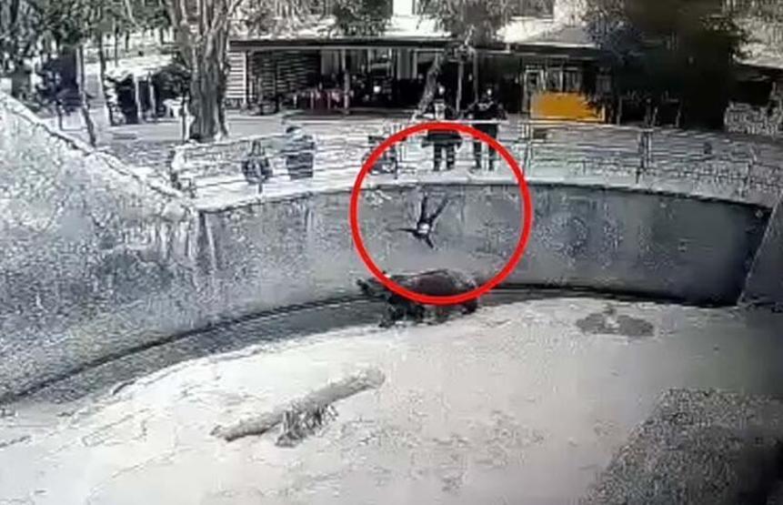 Kan donduran olay: Anne, 3 yaşındaki kızını ayının yanına attı
