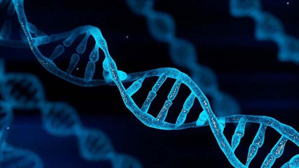 Prof. Dr. Osman Demirhan nadir görülen genetik hastalığı keşfetti