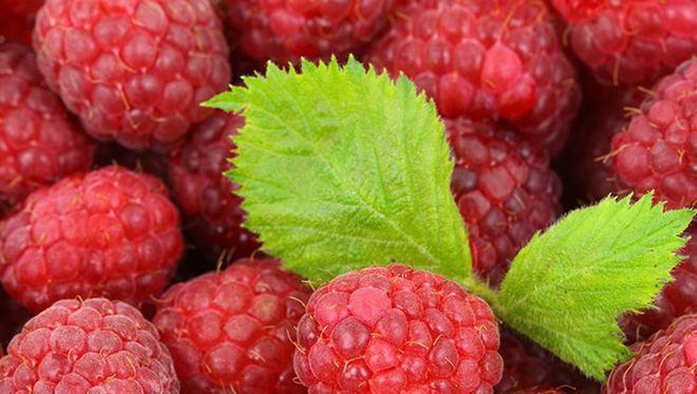 Bu besinler saçların hızla uzamasını sağlıyor
