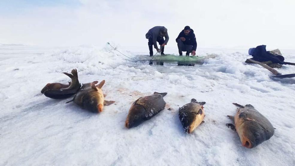 Nazik Gölü’nde Eskimo usulü balık avı