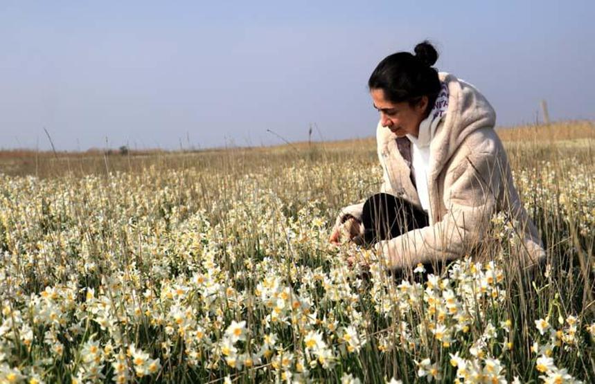 Adana’nın saklı cenneti: Nergis Adası