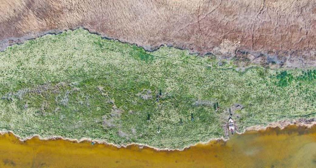 Adana’nın saklı cenneti: Nergis Adası