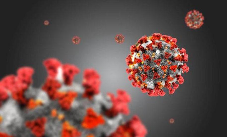 Aynı aileden 9 kişi koronaya yenik düşmüştü: Uzmanlardan gen yorumu