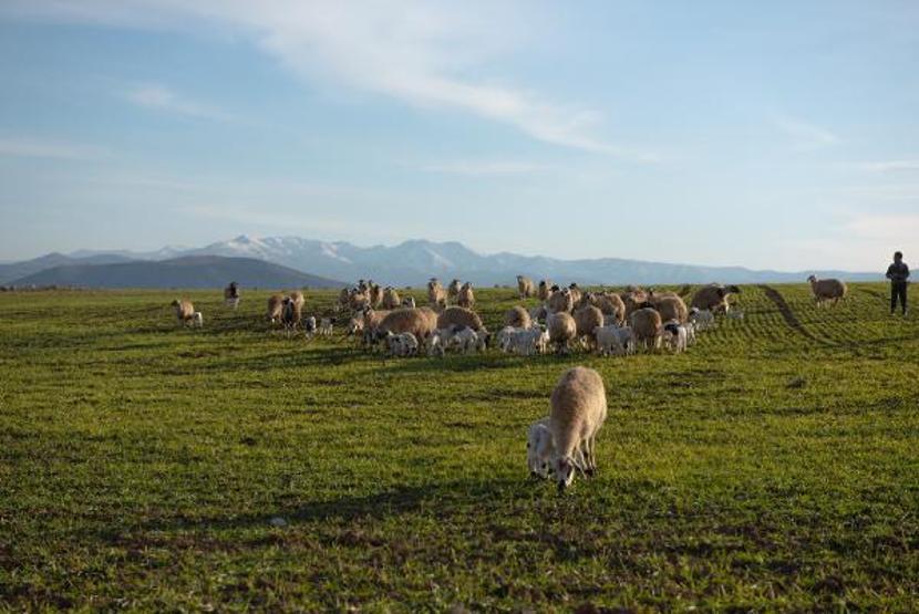 Tuncelide iki mevsim arası 80 kilometre