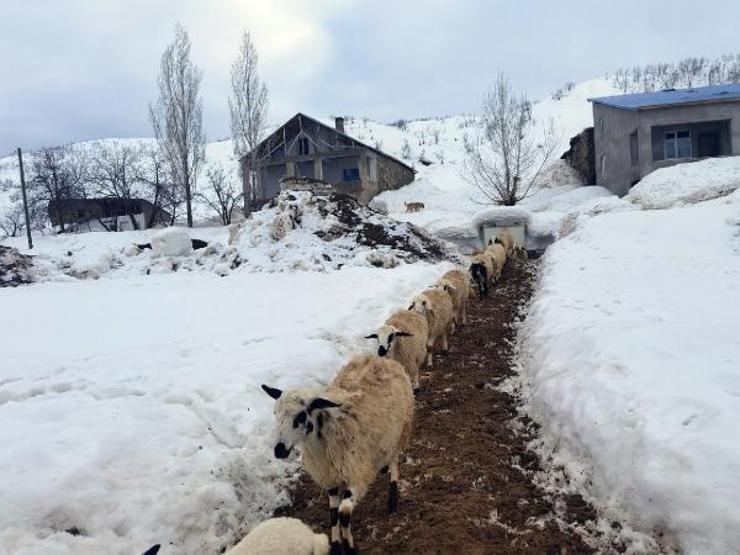 Tuncelide iki mevsim arası 80 kilometre