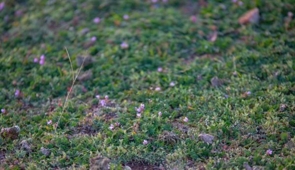 Tuncelide iki mevsim arası 80 kilometre