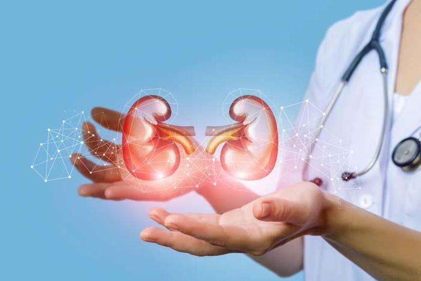 Dikkat Bu hatalar böbrekleri yıpratıyor Böbrekleri tüketen 8 önemli neden