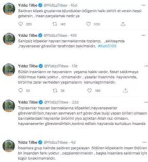 Yıldız Tilbeden sokak hayvanları için şok sözler
