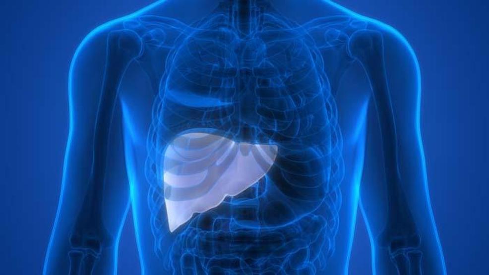 Hepatit C nedir, bulaşınca ne olur Hepatit C’nin belirtileri neler Dr. Jan Klod Kayuka yazdı...