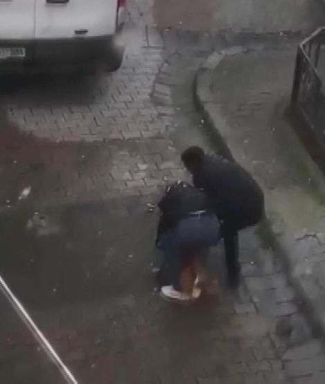 Pitbull dehşeti Yoldan geçen adamın bacağını ısırdı