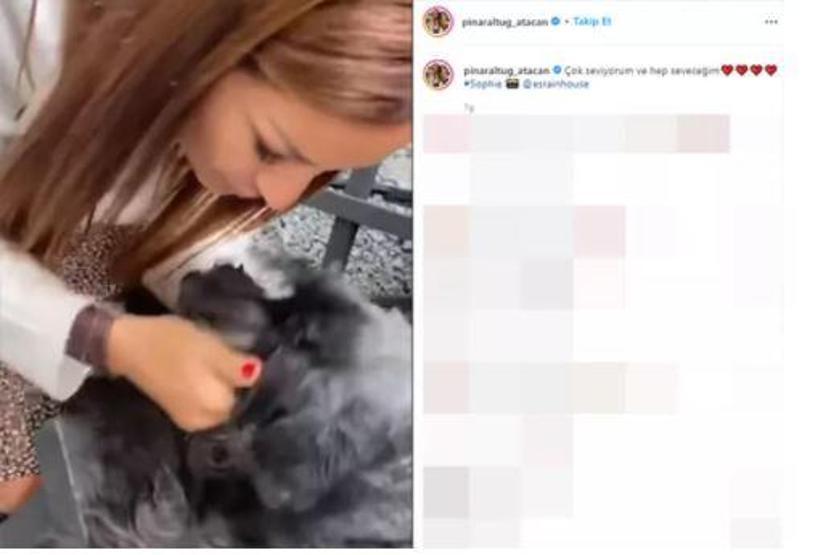 Takipçisinden Pınar Altuğu kızdıran yorum