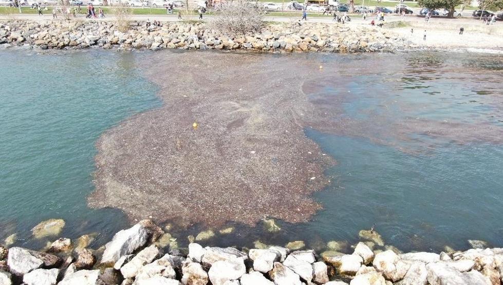 İstanbulda korkutan görüntü 2 metre çekildi
