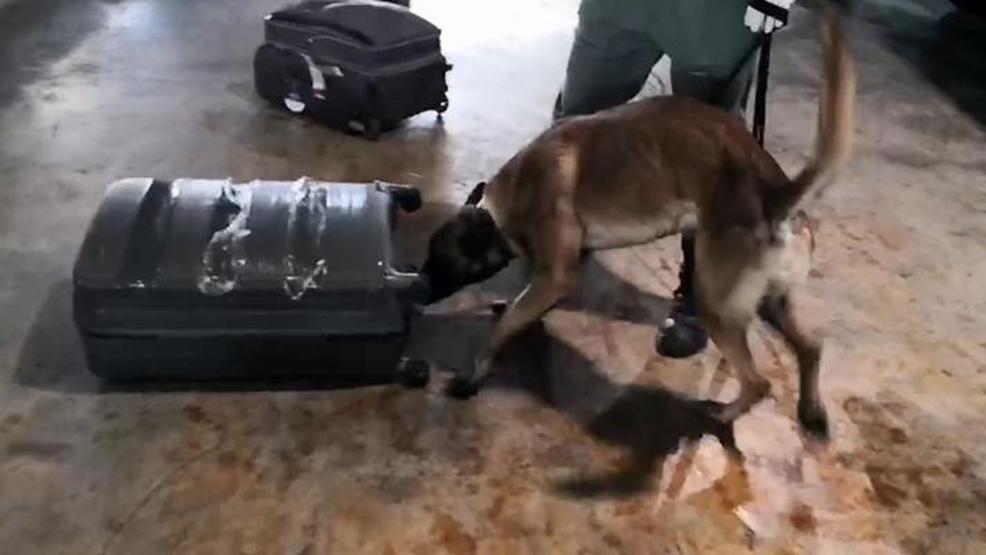 Vitamin kutularından uyuşturucu çıktı