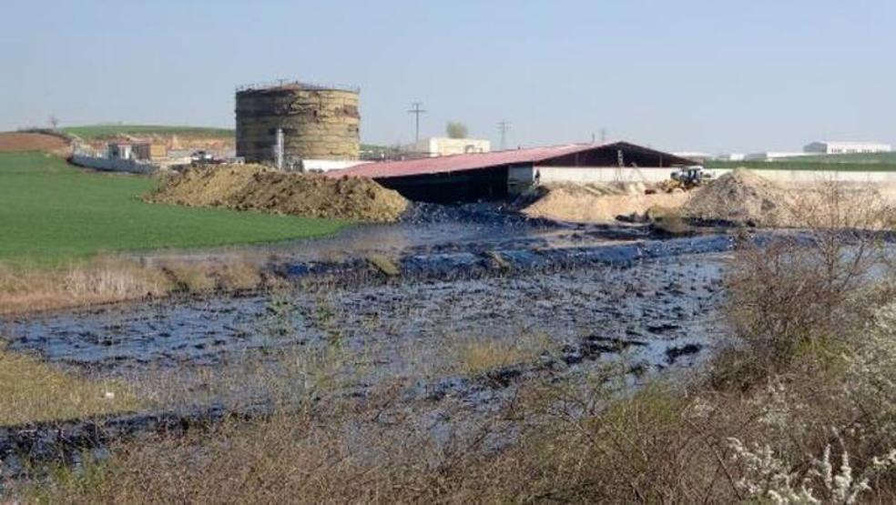 Edirnede zift kaplı tarlalarda temizlik Elleriyle topladılar