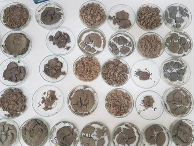 Marmarada müsilajın ardından yeni tehlike: Toksik