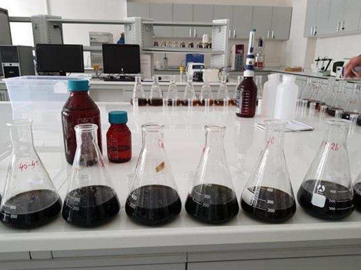 Marmarada müsilajın ardından yeni tehlike: Toksik