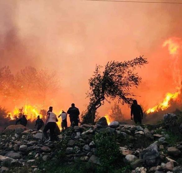 Hatayda korkutan orman yangını Söndürme çalışmalarına vatandaşlar da katıldı