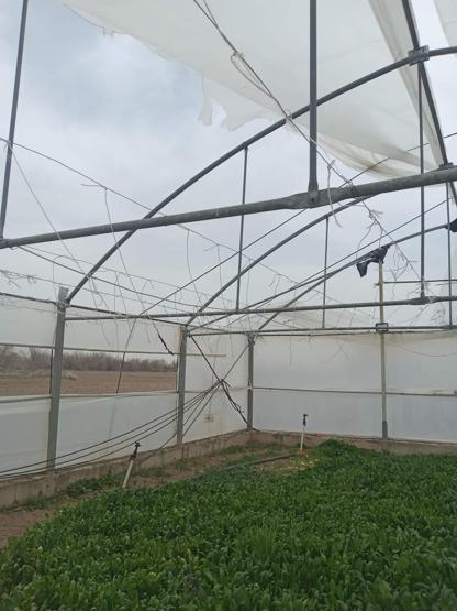 Meteoroloji uyarmıştı: Nefes almakta zorlandılar