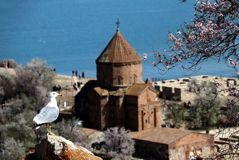 Çiçeklerle kaplanan Akdamar Adasına fotoğrafçı akını