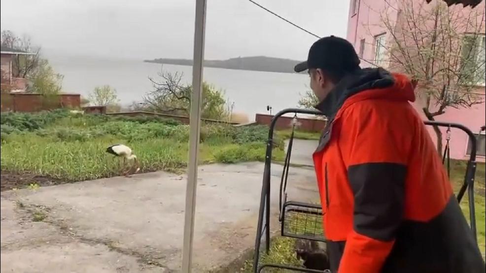 Ata Demirer, Yaren leyleği elleriyle besledi