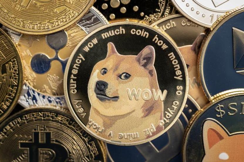 Elon Muskın Twitter hamlesinin ardından, Dogecoin yükselişe geçti