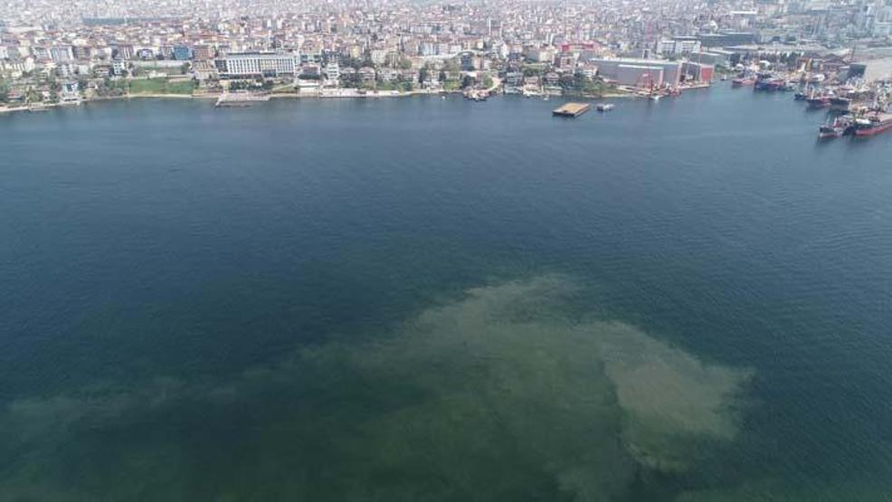 Prof. Dr. Sarı umut veren tabloyu açıkladı: Marmara direniyor