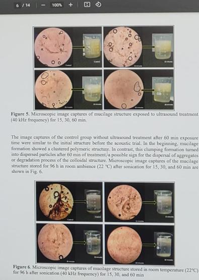 Müsilajla yeni mücadele: Ultrasonik ses frekansı