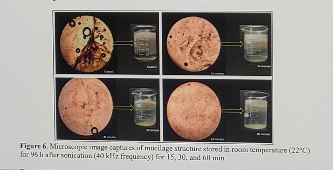 Müsilajla yeni mücadele: Ultrasonik ses frekansı