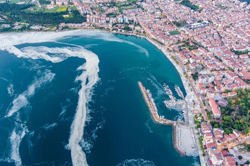 Müsilajla yeni mücadele: Ultrasonik ses frekansı