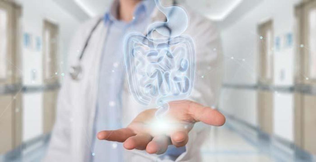 Sindirim sistemi sağlığını nasıl koruruz