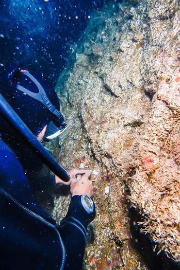 Marmaraya nefes olacak Böyle görüntülendi