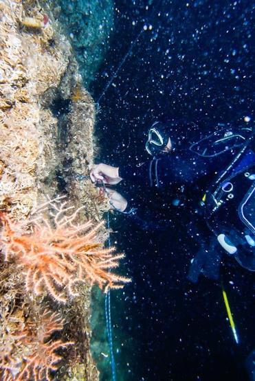 Marmaraya nefes olacak Böyle görüntülendi