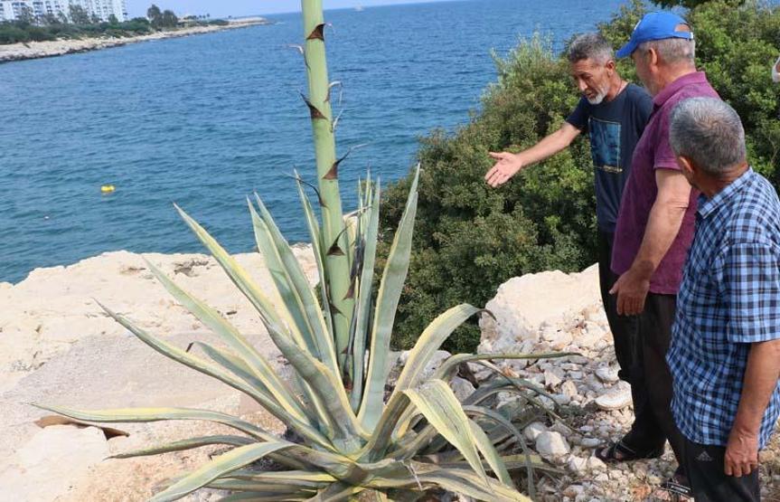 50 yıl sonra bir ilk Gören şaştı kaldı