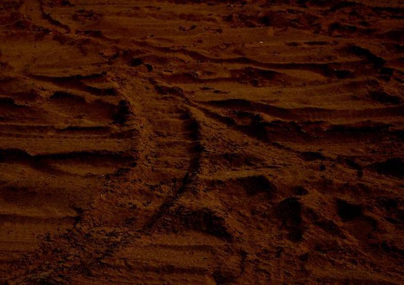 Kızıl Gezegen’de 30 gün NASA, Mars görevine açıklık getirdi
