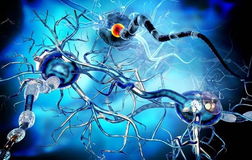 D vitamini eksikliği MS için risk faktörü
