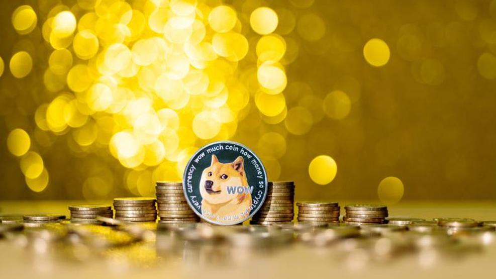 Elon Musktan Dogecoin mucidine sert yanıt: “12 yaşındaki çocuk senden daha iyi kod yazıyor”