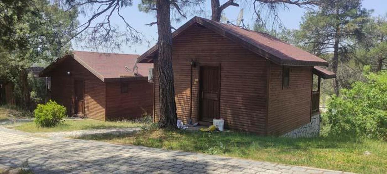 Bu yaz doğa tatilleri moda Fiyatlar uygun, talep fazla