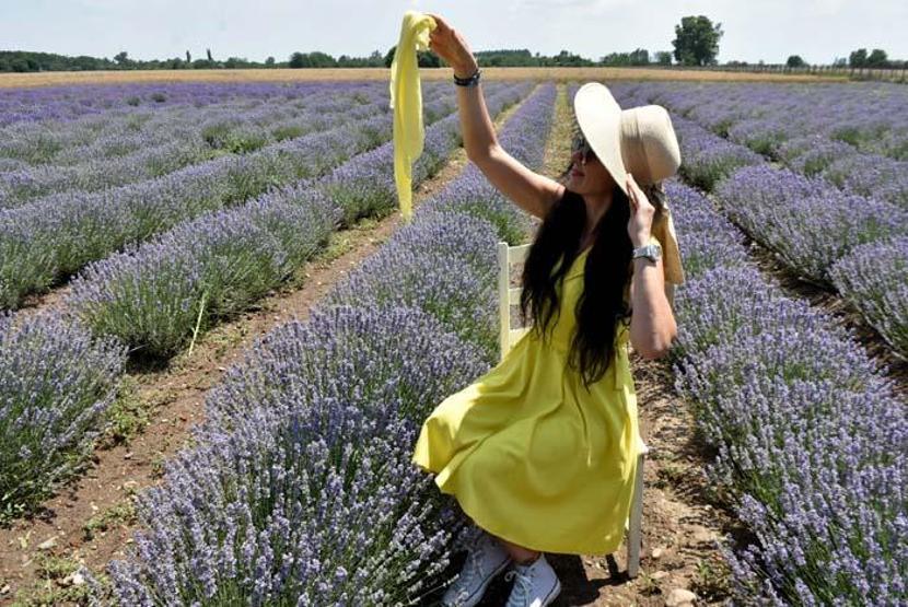 Edirnede lavanta turizmi; otellerde yer kalmadı