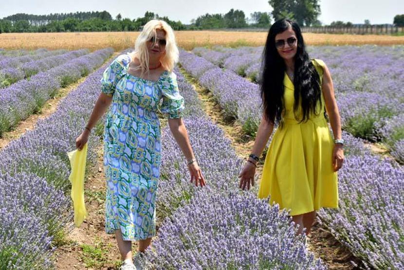 Edirnede lavanta turizmi; otellerde yer kalmadı