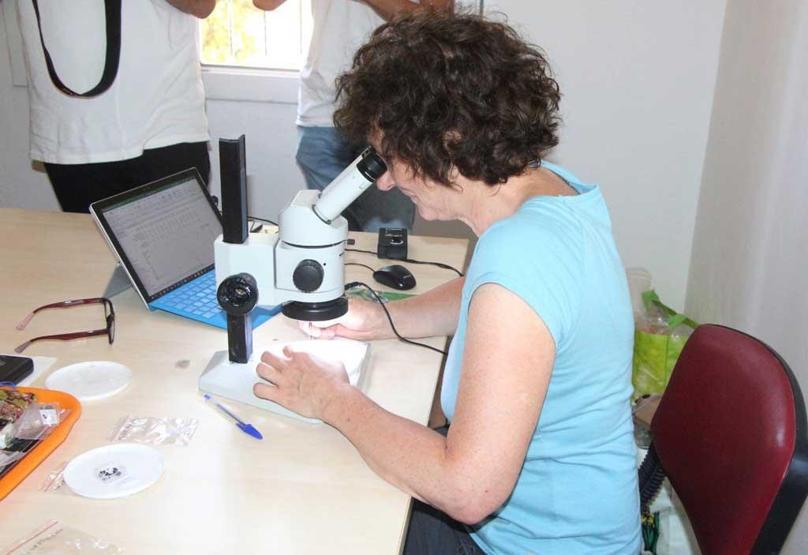 Tarım tarihini değiştirebilir Adanada bulundu