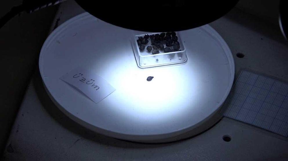 Tarım tarihini değiştirebilir Adanada bulundu