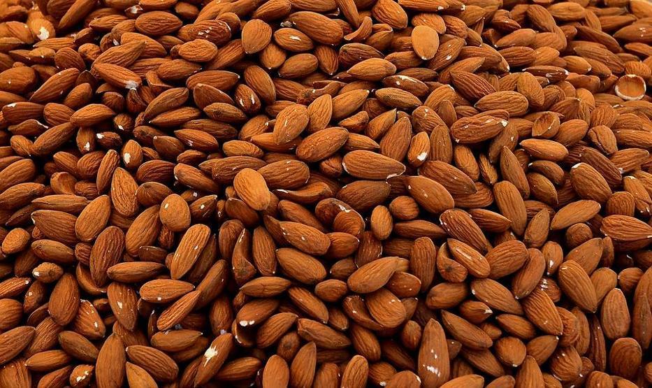 Yağlı tohumların faydaları nelerdir Ne kadar tüketmeliyiz