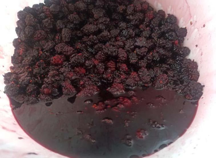 Urmu dut şifa kaynağı
